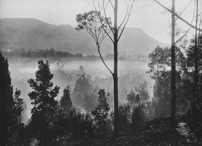 The Early Morning Mist Rising at Nuwara Eliya, c1890, 1910 av Alfred William Amandus Plate