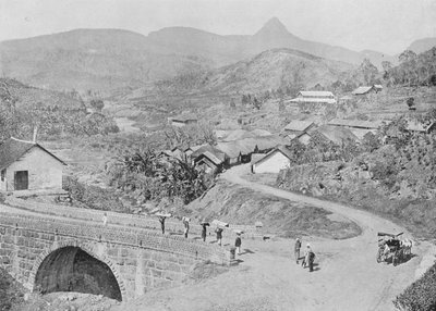 Utsikt over Maskeliya som viser Adams Peak, c1890, 1910 av Alfred William Amandus Plate