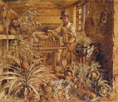 En gartner i et potteskur med ananas og forskjellige grønnsaker (penn, blekk og wc på papir) av Alfred William Hunt
