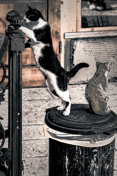 Neugier, 2017 von Alice Gur-Arie