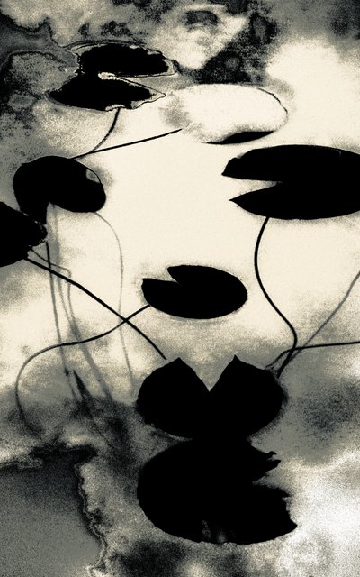 Goldstaubschatten, aus der Serie Frühling von Alice Gur-Arie