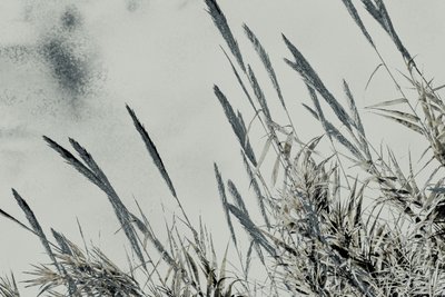 Ernte von Alice Gur-Arie