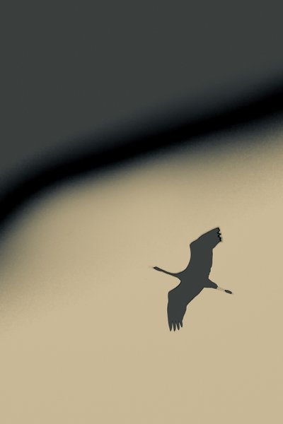 Ins Leere von Alice Gur-Arie