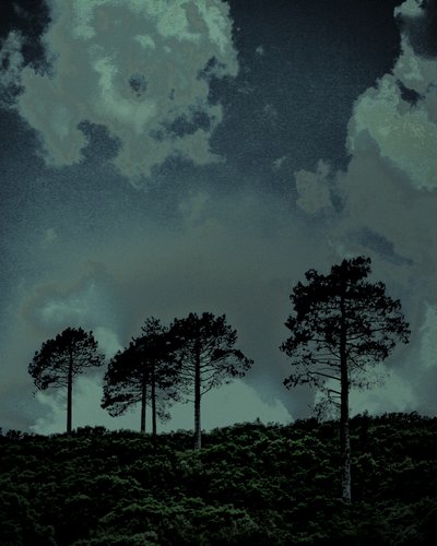 Letztes Licht von Alice Gur-Arie