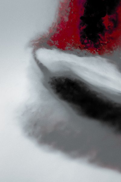 Mission, aus der Serie Missionar von Alice Gur-Arie