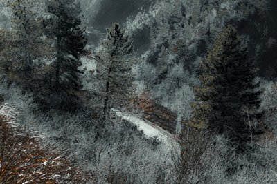 Die Straße von Mailand, 2018 von Alice Gur-Arie