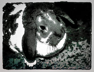 Kaninchengewohnheiten von Alice Gur-Arie