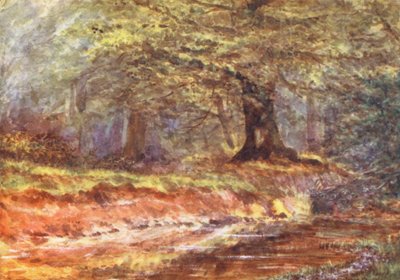 New Forest: I dronningens lysthus, midtsommer (fargelitografi) av Alice Julia Argles