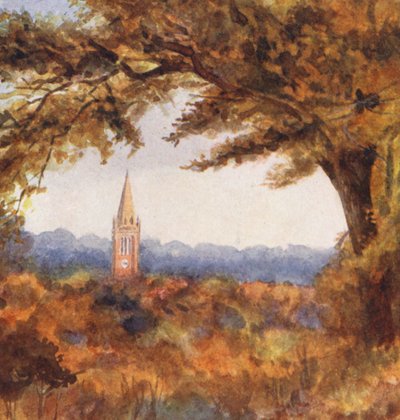 New Forest: Lyndhurst kirke fra Cut Walk, november (fargelitografi) av Alice Julia Argles