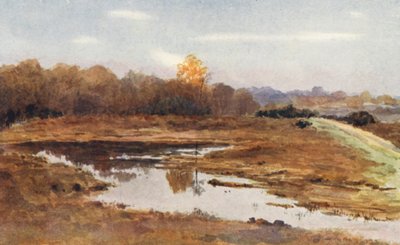 New Forest: På Beaulieu-veien, en våt oktober (fargelitografi) av Alice Julia Argles