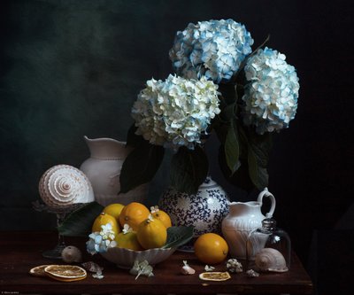  av Alina Lankina