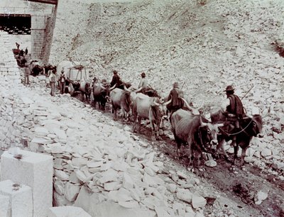 Scene som viser marmorblokker som blir transportert fra et steinbrudd i Carrara. Vognen blir trukket av ti okser (s/hvitt foto) av Fratelli Alinari