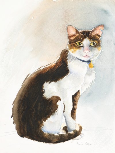 Dave the Saudi Cat, 2019 (akvarell) av Alison Cooper