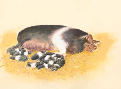 Saddlebacked purke og smågriser, 2019 (pastell) av Alison Cooper