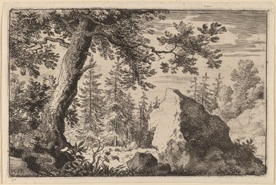 Boulder in the Woods av Allart van Everdingen