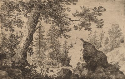 Boulder in the Woods, sannsynligvis ca. 16451656. av Allart van Everdingen