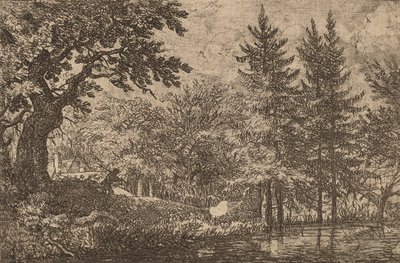 Grantrær ved vannet, sannsynligvis ca. 16451656. av Allart van Everdingen