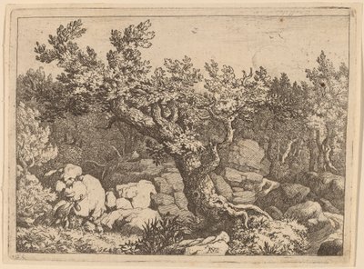 Sportsmann nær et stort tre, sannsynligvis ca. 16451656. av Allart van Everdingen