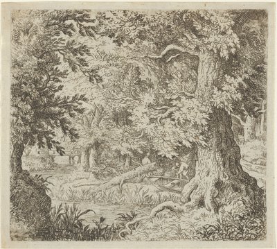 The Brook in the Wood, 1600-tallet. av Allart van Everdingen