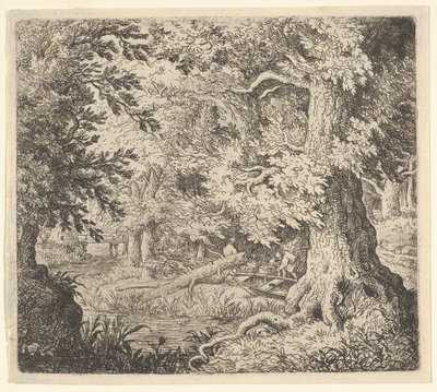 The Brook in the Wood, 1600-tallet. av Allart van Everdingen