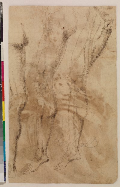 Tre studier av et mannlig ben (verso) ca. 1537 (penn og brunt blekk på lagt papir) [se 5948317] av Alonso (workshop of) Berruguete