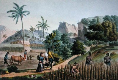 Island of Guam: Agricultural Works, fra 