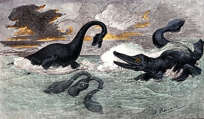 Lias-periode (nedre jura): Plesiosaur og Ichtyosaur, naturlig skapelse og levende vesener (av Jules Rengade) Tegning av A. Demarle. 1885 av Alphonse Demarle