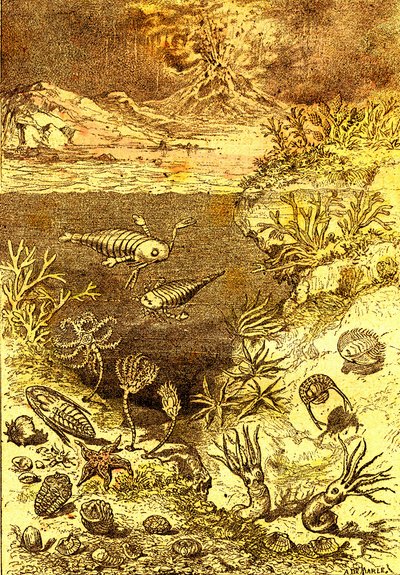 Forhistorie-Slutten av den siluriske perioden: Naturlig skapelse og levende vesener (J. Rengade) Tegning A. Demarle. 1885 av Alphonse Demarle