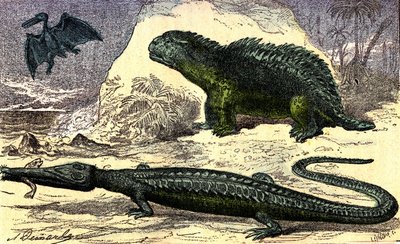 Forhistorie - Juraperioden: Teleosauren og Hyleosauren. Pterodactylen ovenpå. Naturlig skapelse og levende vesener. Tegning av A. Demarle. 1885 av Alphonse Demarle