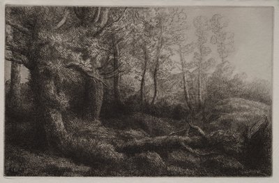 En skogstudie av Alphonse Legros