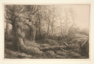 En skogstudie av Alphonse Legros
