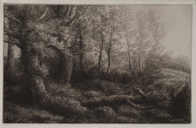 En skogstudie. av Alphonse Legros