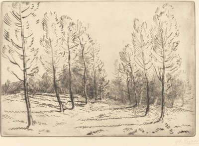 Avenue of Poplars Alley of Poplars. av Alphonse Legros