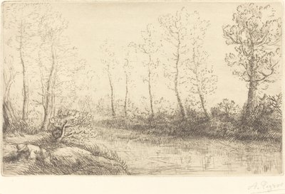 Birch Trees: Water's Edge Seen in Morning Light av Alphonse Legros