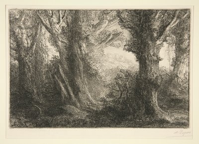Dans la foret de Conteville (I Conteville-skogen) av Alphonse Legros