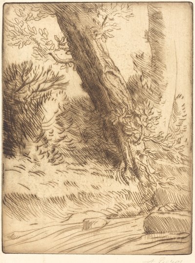 Kanten av en Brook Bord de ruisseau. av Alphonse Legros
