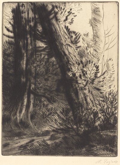 Kanten av en Brook Bord de ruisseau. av Alphonse Legros