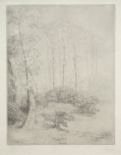 Kanten av vannet av Alphonse Legros