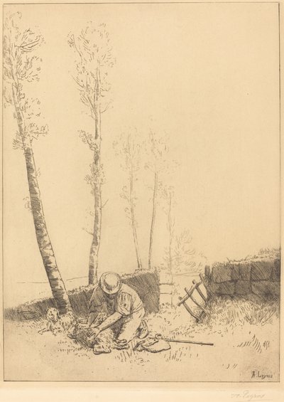 Finne sauen Le Mouton retrouve. av Alphonse Legros