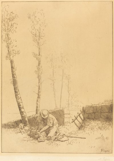 Finne sauen Le Mouton retrouve. av Alphonse Legros