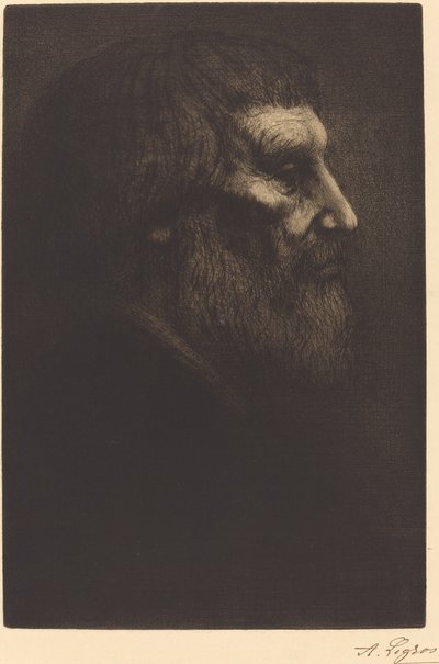 Leder for en tigger Tete de mendiant. av Alphonse Legros