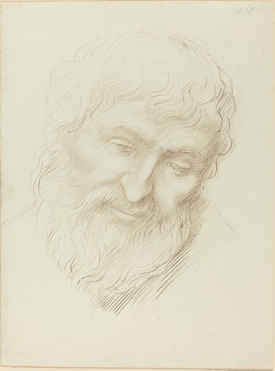 Leder av en mann av Alphonse Legros