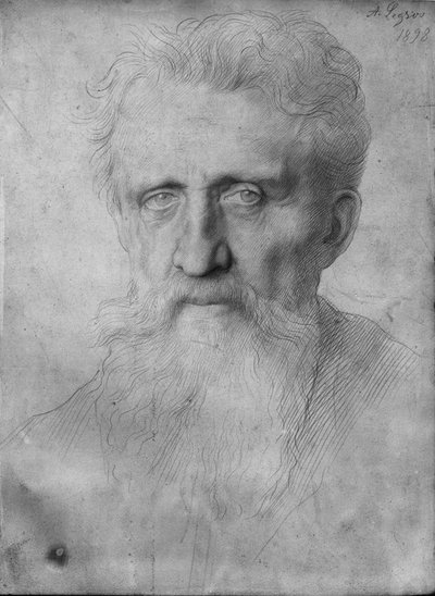 Hodet til en mann med langt skjegg, 1898 (sølvspiss på hvit papp) av Alphonse Legros