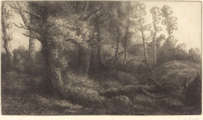 In the Forest Lisiere de foret.    1195169   no       norwegian Successfully Translated  Original: Virgin and Child Enthroned, with Saints Jerome and John the Baptist and a Carthusian Monk Tronende madonna met de heiligen Hieronymus en Johannes de Doper en av Alphonse Legros
