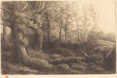 I skogen Lisiere de foret. av Alphonse Legros