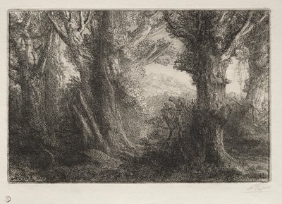 I skogen ved Conteville av Alphonse Legros