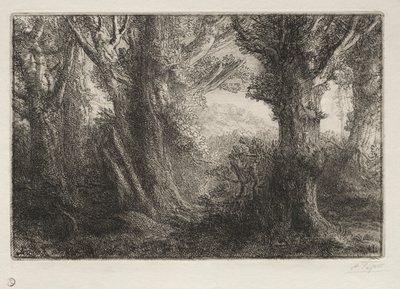 I skogen ved Conteville. av Alphonse Legros