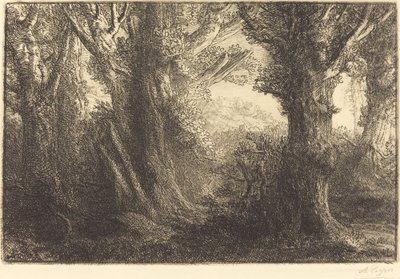 I Conteville-skogen Dans la foret de Conteville. av Alphonse Legros