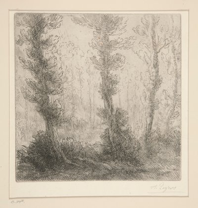 Den lille innsjøen av Alphonse Legros