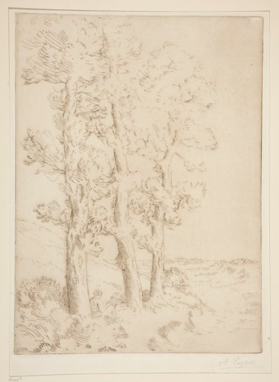 Kvinnelesing: Leksjon under trærne av Alphonse Legros